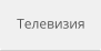 Телевизия