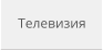 Телевизия
